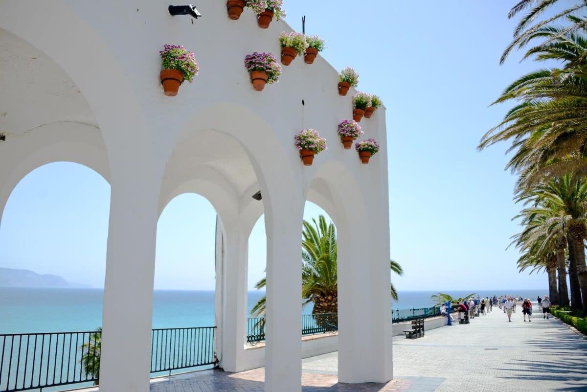 Hernan Cortes نيرخا المظهر الخارجي الصورة